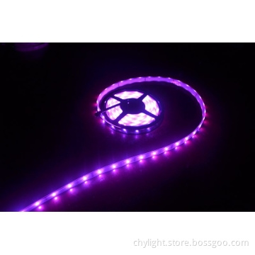 5050 Waterproof Silicone Tube SMD LED Strip